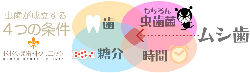 京都市左京区 おおくぼ歯科クリニック　むし歯の条件図