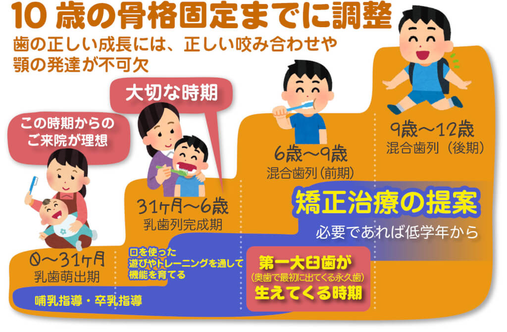 京都市左京区 おおくぼ歯科クリニックの10歳の骨格固定までに小児咬合育成調整