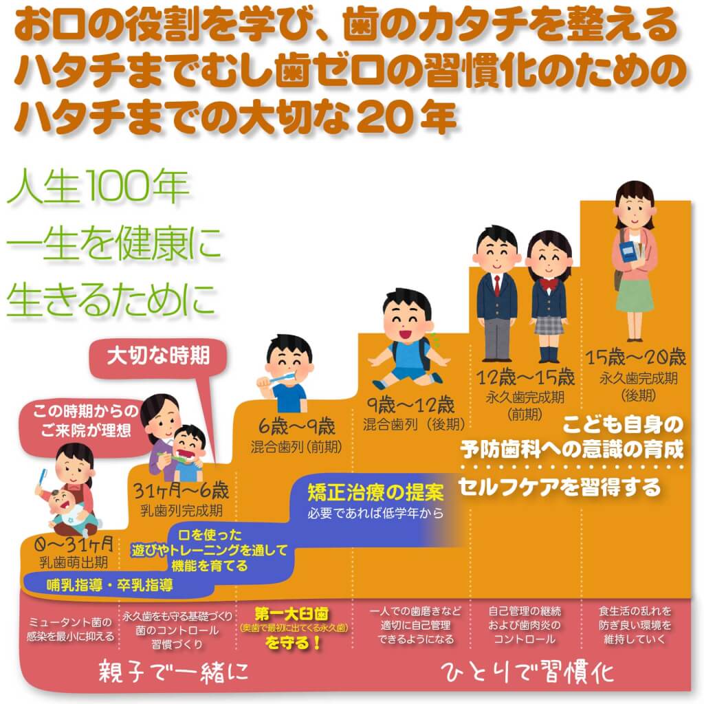 京都市左京区 おおくぼ歯科クリニックの小児歯科コンセプト大切な20年間のステップ図