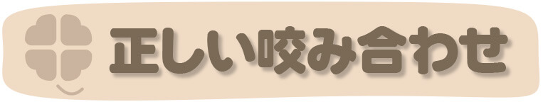 京都市左京区 おおくぼ歯科クリニックの小児歯科の小児咬合育成