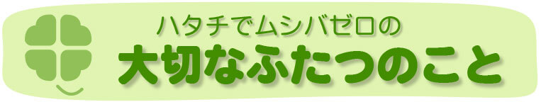 ハタチでムシバゼロの大切なふたつのこと